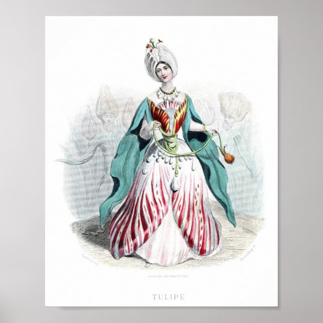 Blume personifiziert - Tulip Poster (Vorne)