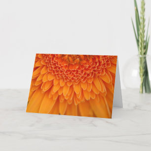 Blume Petal Vielen Dank Dankeskarte