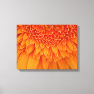 Blume Petals - überzogene Canvas Leinwanddruck