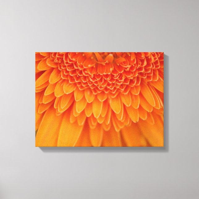 Blume Petals - überzogene Canvas Leinwanddruck (Vorderseite)