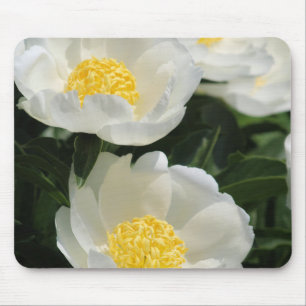 Blume, Pfennig Mousepad