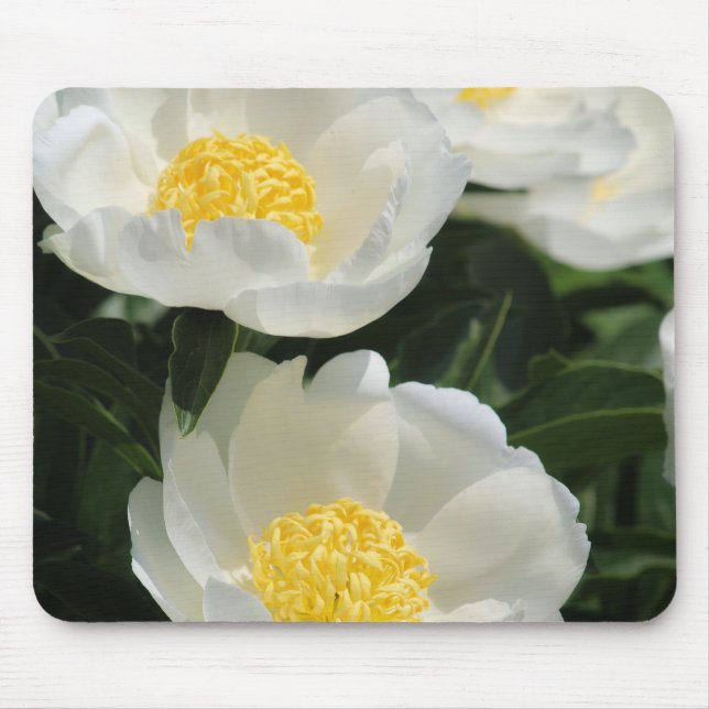 Blume, Pfennig Mousepad (Vorne)