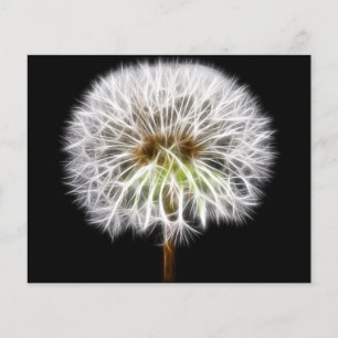 Blume Pflanze
