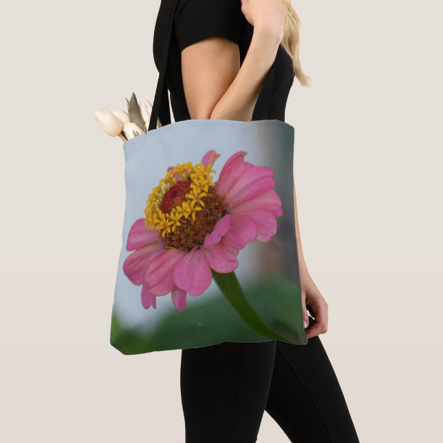 Blume Pink Zinnia (Von Nahem)