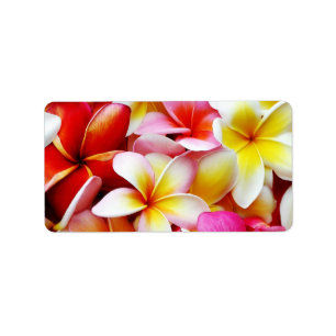 Blume Plumeria Frangipani Hawaii individuell Adressaufkleber