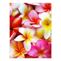 Blume Plumeria Frangipani Hawaii individuell