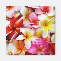 Blume Plumeria Frangipani Hawaii individuell