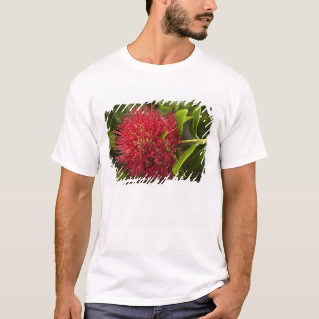 Blume Pohutukawa, Dunedin T-Shirt (Vorderseite)