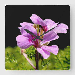 Blume Portrait Quadratische Wanduhr
