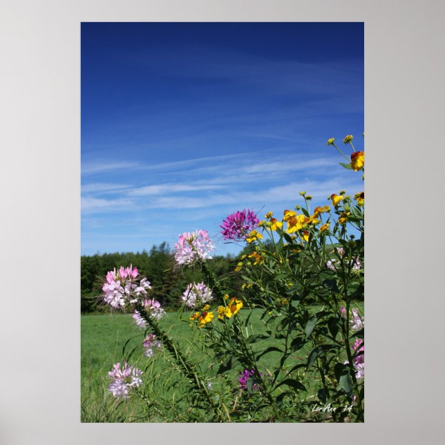 Blume Poster (Vorne)