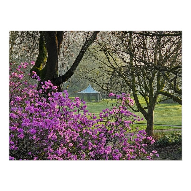 Blume Poster (Vorderseite)