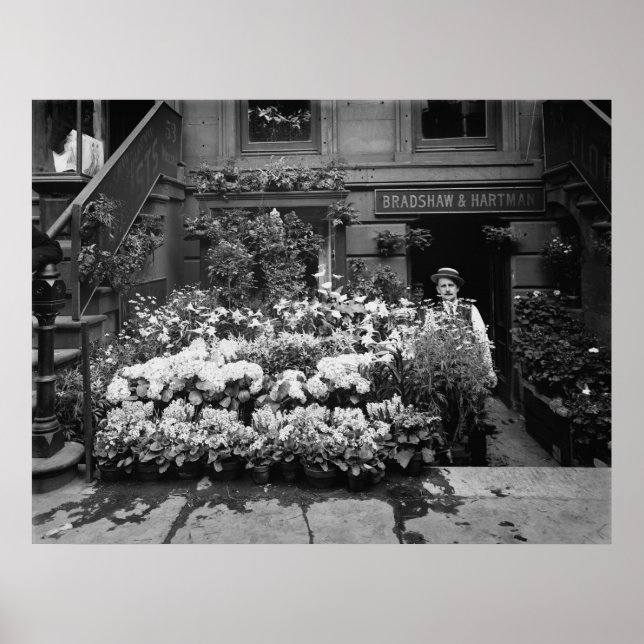 Blume Poster (Vorne)