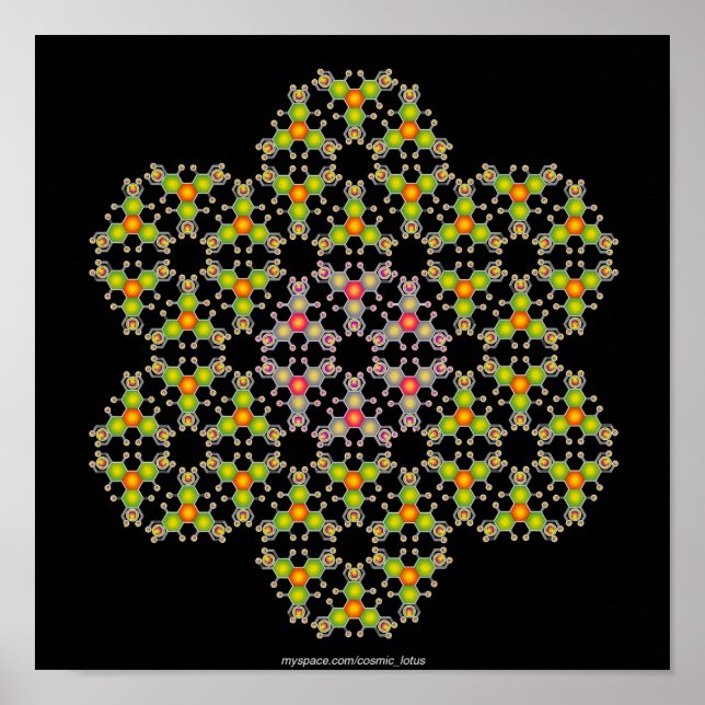 Blume Poster (Vorne)