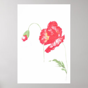 Blume Poster