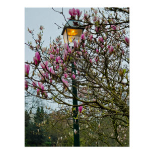 Blume Poster
