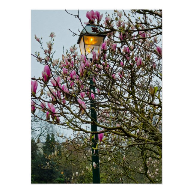 Blume Poster (Vorderseite)