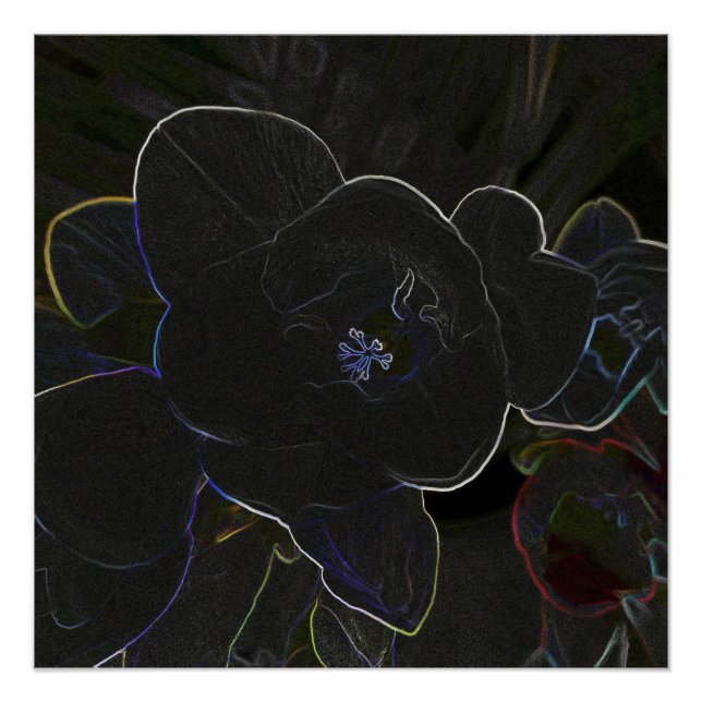 Blume Poster (Vorderseite)