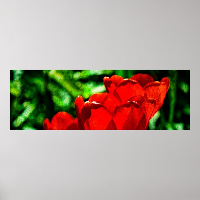 Blume Poster (Vorne)