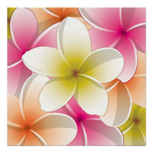 Blume Poster