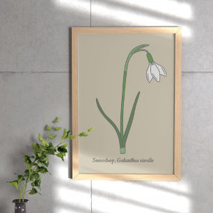 Blume Poster