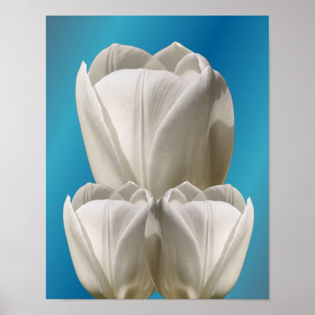 Blume Poster (Vorne)