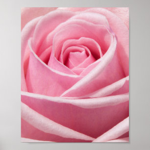 Blume Poster
