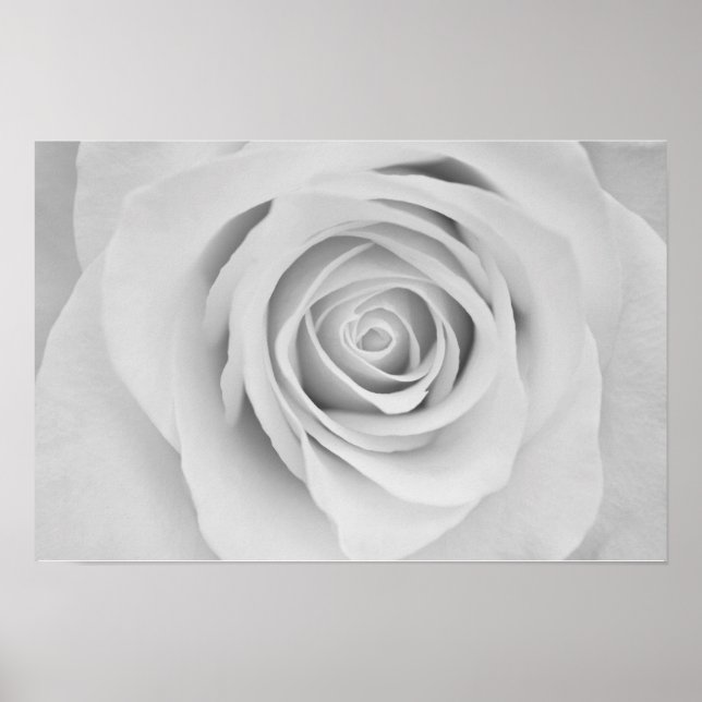 Blume Poster (Vorne)
