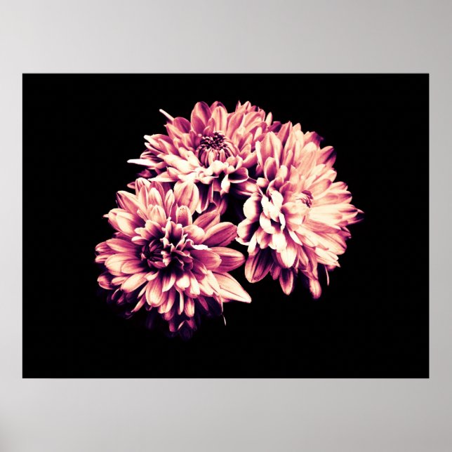 Blume Poster (Vorne)