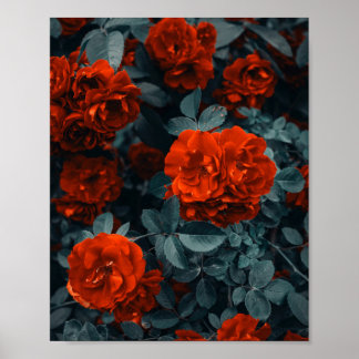 Blume Posters & Prints Poster