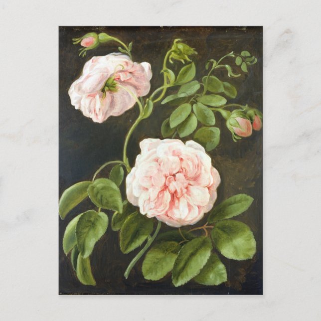Blume Postkarte (Vorderseite)