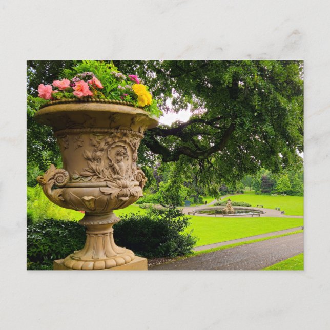 Blume Postkarte (Vorderseite)