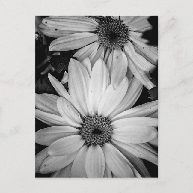 Blume Postkarte (Vorderseite)