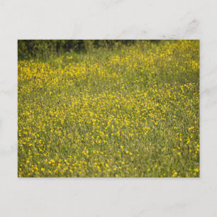 Blume Postkarte