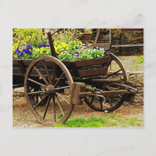 Blume Postkarte