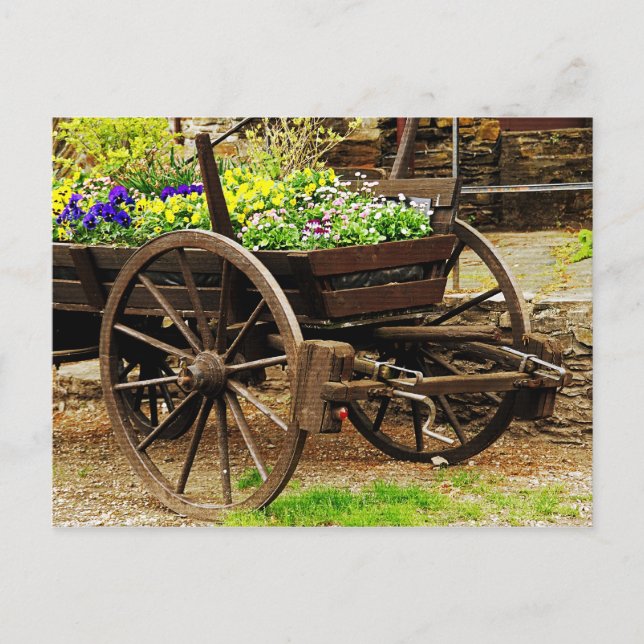 Blume Postkarte (Vorderseite)