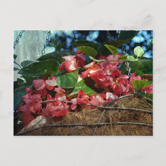 Blume Postkarte (Vorderseite)