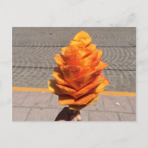 Blume Postkarte