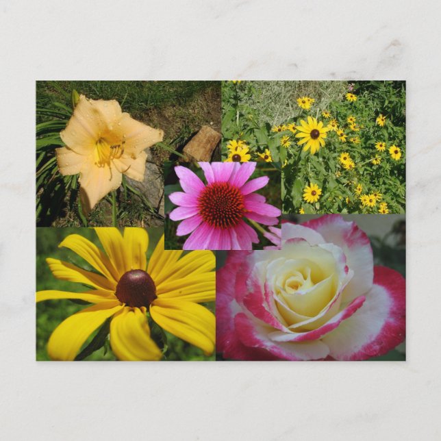 Blume Postkarte (Vorderseite)