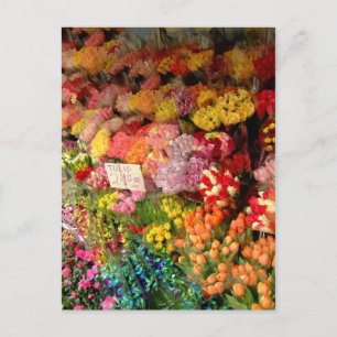 Blume Postkarte