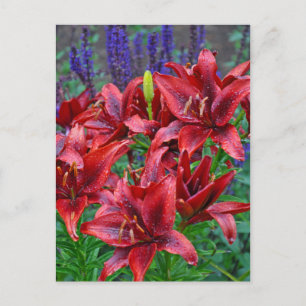 Blume Postkarte