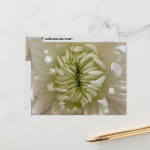 Blume Postkarte