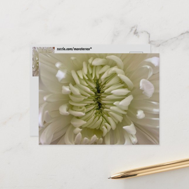 Blume Postkarte (Vorderseite/Rückseite Beispiel)