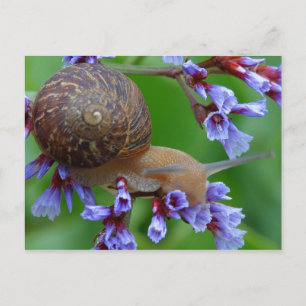 Blume Postkarte