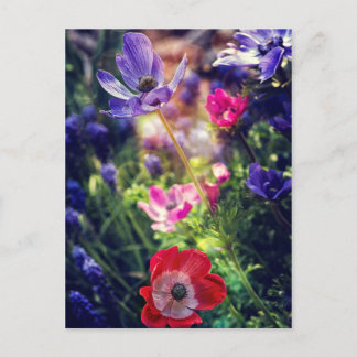 Blume Postkarte