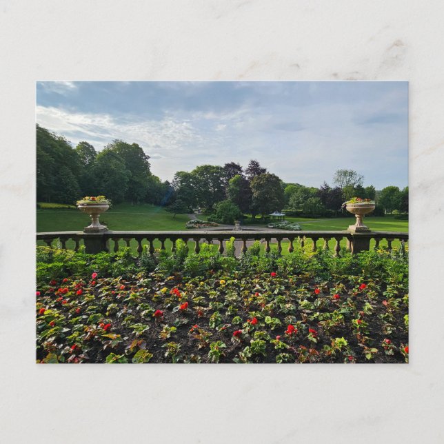 Blume Postkarte (Vorderseite)