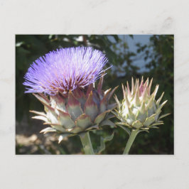 Blume Postkarte