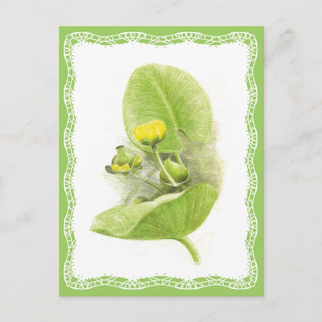 Blume Postkarte (Vorderseite)