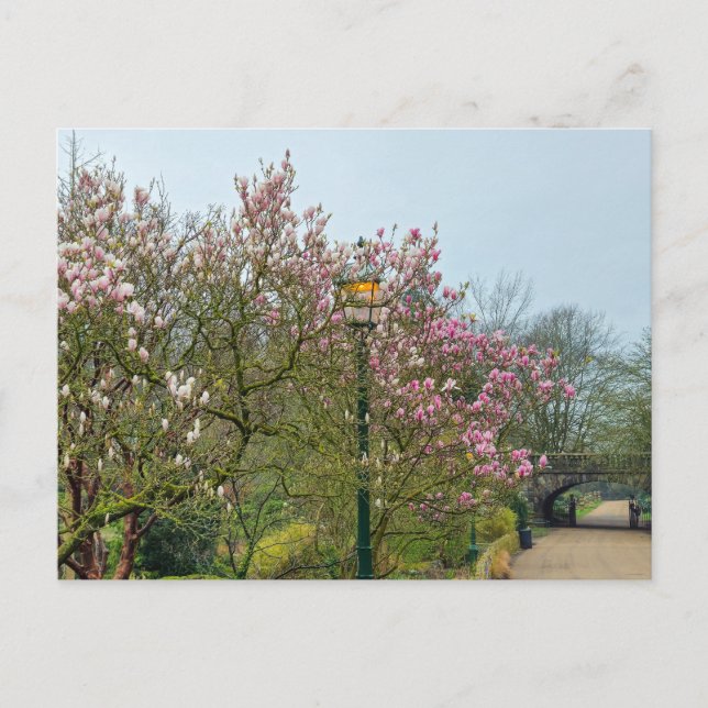 Blume Postkarte (Vorderseite)