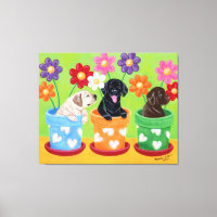 Blume Pot Labrador Welpen