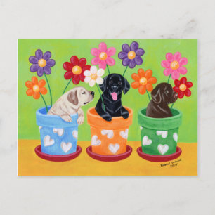 Blume Pot Labrador Welpen Postkarte
